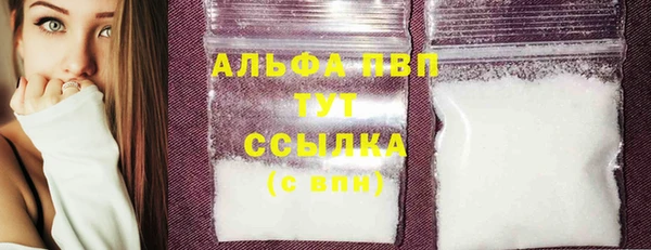 твердый Пересвет