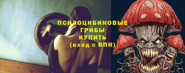 твердый Пересвет