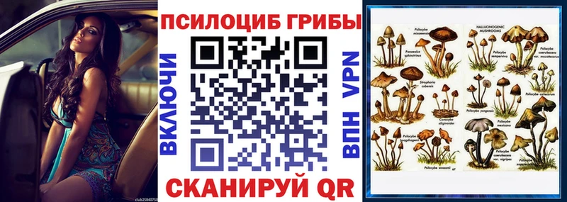 где можно купить наркотик  Сланцы  Псилоцибиновые грибы GOLDEN TEACHER 